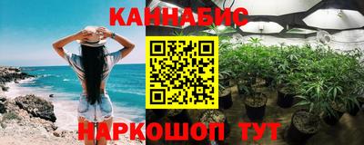 стаф Лесосибирск