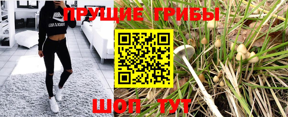 Зеленокумск  Псилоцибиновые грибы ЛСД  Вход с VPN 